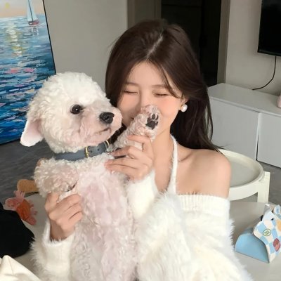 雪国盛夏 海报